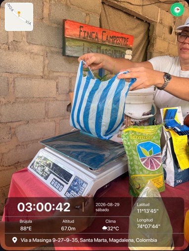 Técnica pesando un bulto de insumos agrícolas antes de entregarlo a una familia beneficiaria en la Finca Las Margaritas