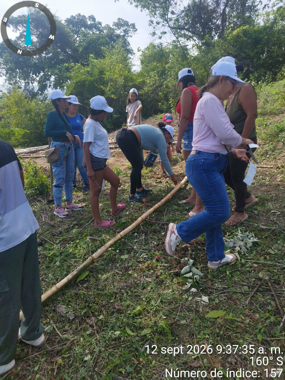 Grupo de mujeres trazando una nueva parcela demostrativa con guadua
